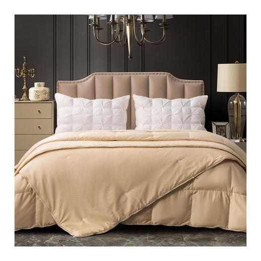 多喜爱-埃斯顿蚕丝鹅绒黄金组合子母被（粉）（金） 商品图3