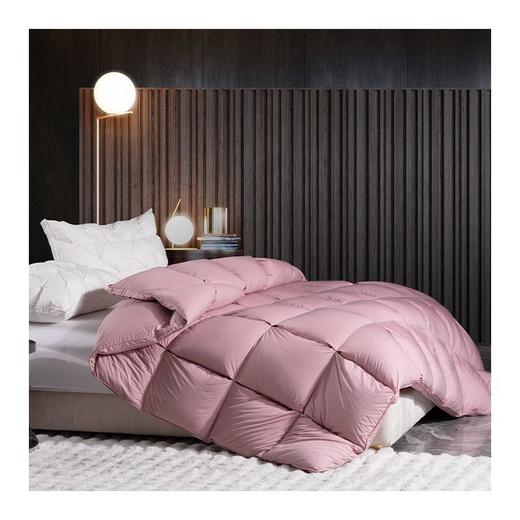 多喜爱　冬奢95白鹅绒加厚冬被（艾贝丽Abel-粉/艾贝丽Abel-灰）赠送兔毛绒套件+枕芯 商品图3