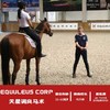 马术百科课堂 商品缩略图4