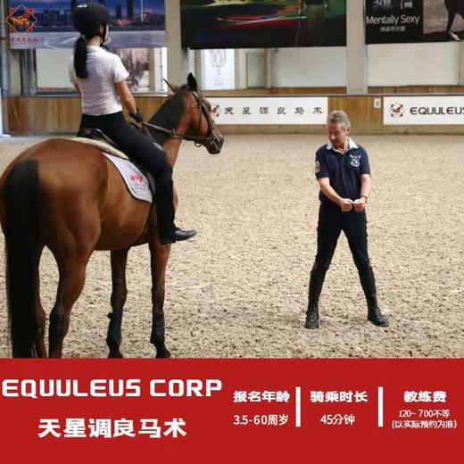 马术百科课堂 商品图4