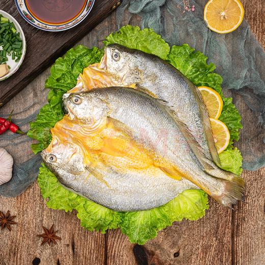 【TLJD】醇香黄鱼鲞250g*5条(净重1.25kg)三去处理免杀即烹 商品图4