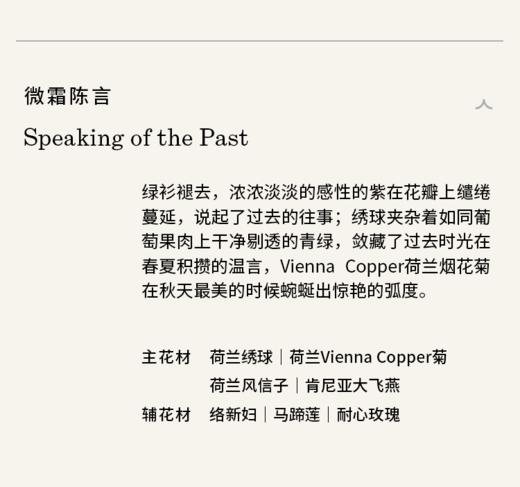 微霜陈言 Speaking of the Past 商品图5
