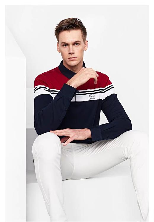 （莫代尔系列）德鲨2024秋季新品 撞色翻领莫代尔棉长袖休闲男士POLO衫LR12521 商品图2