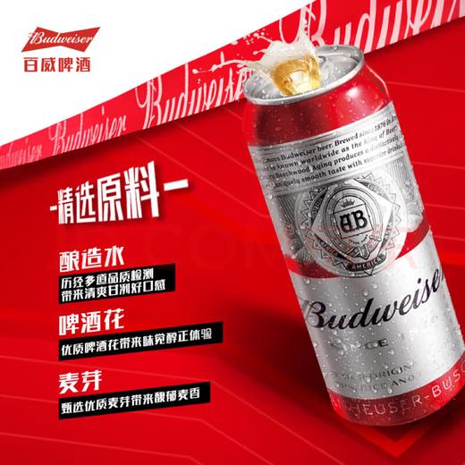 【TLJD】百威TOP经典红罐淡色拉格啤酒450ml*18听整箱装 浓郁麦香 商品图4