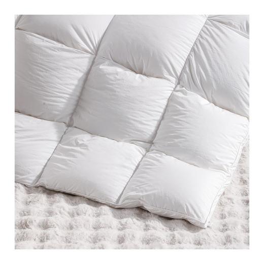 多喜爱　冬奢95白鹅绒加厚冬被（艾贝丽Abel-粉/艾贝丽Abel-灰）赠送兔毛绒套件+枕芯 商品图2