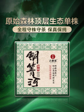 【铜箐河单株】2020年易武铜箐河茶王级单株 全程派人定点守株守茶 保真保纯 250克/砖 拍5发6拍20发25