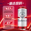【TLJD】百威TOP经典红罐淡色拉格啤酒450ml*18听整箱装 浓郁麦香 商品缩略图2