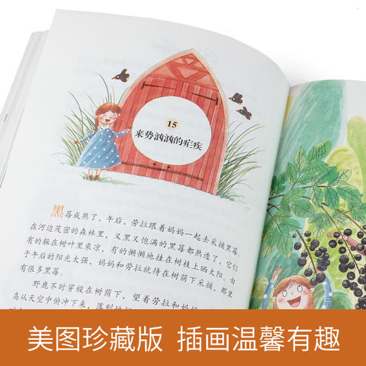 草原上的小木屋 纽伯瑞儿童文学奖作品 一部充满诗意与浪漫的作品 教人尊重生命 敬畏自然 商品图4