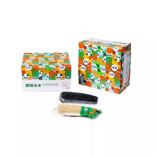 山西糯忻州谷苞苞黑白有机甜糯玉米 鲜嫩黏香软滑甘甜 商品图2