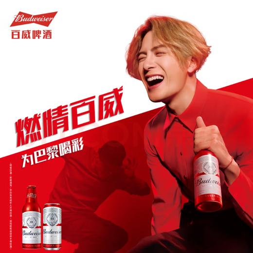 【TLJD】百威TOP经典红罐淡色拉格啤酒450ml*18听整箱装 浓郁麦香 商品图0