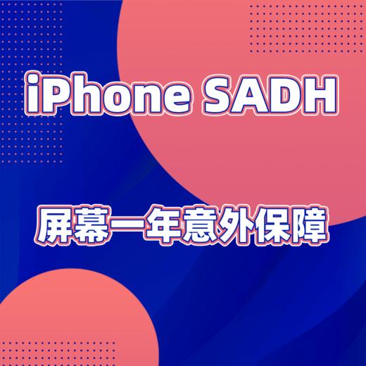 iPhone 增值服务续费专用 商品图0