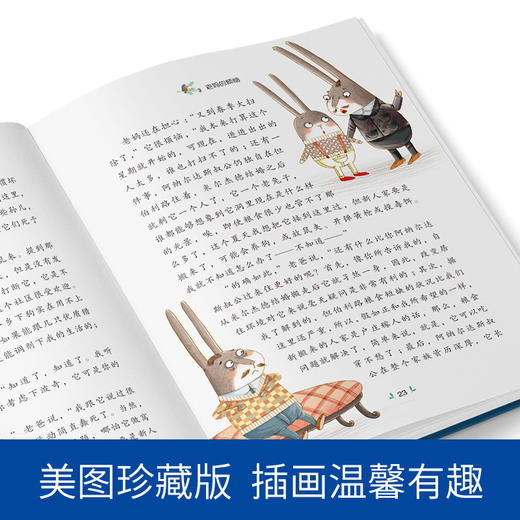 兔子坡 纽伯瑞儿童文学奖作品 6-12岁儿童读物小说 小学生课外阅读 商品图4