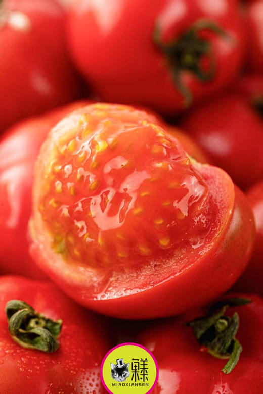 📦喵菓基地～米其林高糖钱袋番茄🍅礼盒4-5斤（包邮） 商品图5