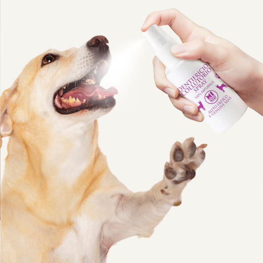 宠物漱口水 50ml 商品图0