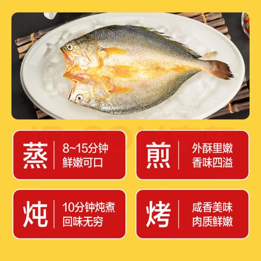 【TLJD】醇香黄鱼鲞250g*5条(净重1.25kg)三去处理免杀即烹 商品图3