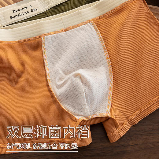 男士50支纯棉内裤男全棉5A抗菌中腰大码平角裤短裤男生裤衩批发 商品图3