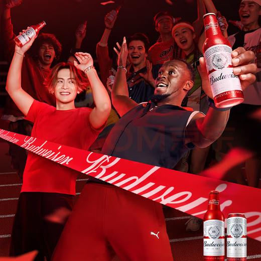 【TLJD】百威TOP经典红罐淡色拉格啤酒450ml*18听整箱装 浓郁麦香 商品图1