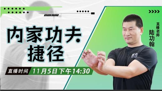 11月5日  内家功夫捷径 商品图0