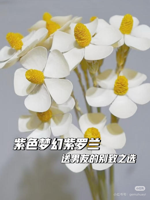 干花紫罗兰 商品图0