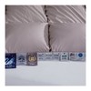 多喜爱　冬奢95白鹅绒加厚冬被（艾贝丽Abel-粉/艾贝丽Abel-灰）赠送兔毛绒套件+枕芯 商品缩略图11