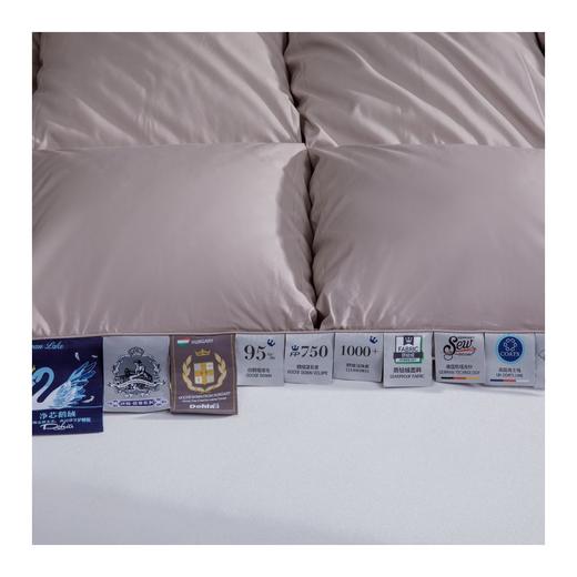 多喜爱　冬奢95白鹅绒加厚冬被（艾贝丽Abel-粉/艾贝丽Abel-灰）赠送兔毛绒套件+枕芯 商品图11