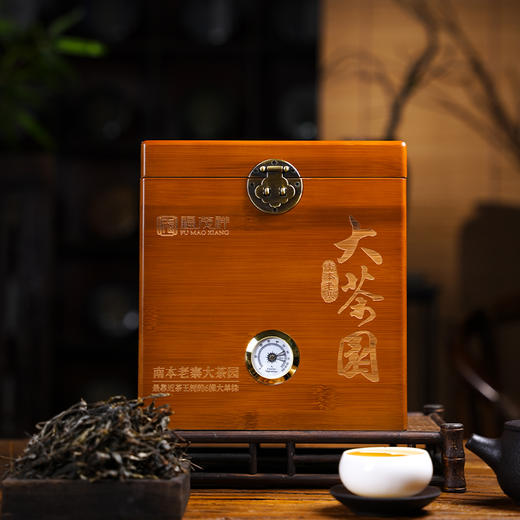 【南本老寨单株】大茶园最靠近茶王树的6棵大单株古树 2024年春茶云南勐宋普洱生茶纯料散茶木箱装500g 商品图1