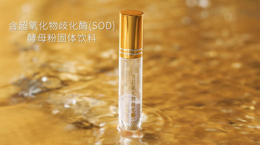 含超氧化物歧化酶(SOD)酵母粉固体饮料 商品图4