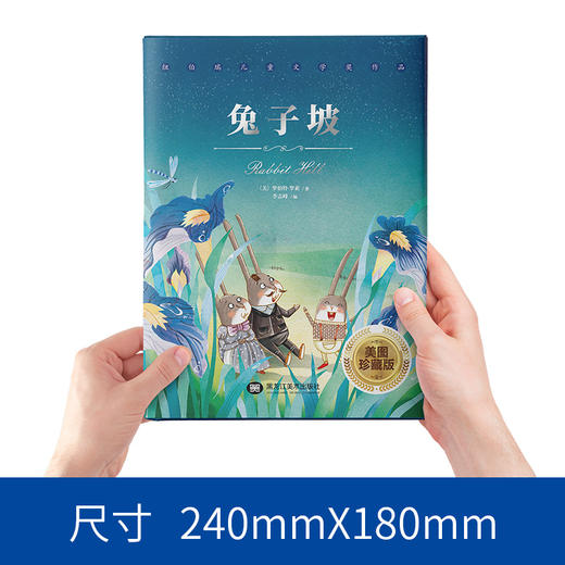 兔子坡 纽伯瑞儿童文学奖作品 6-12岁儿童读物小说 小学生课外阅读 商品图3