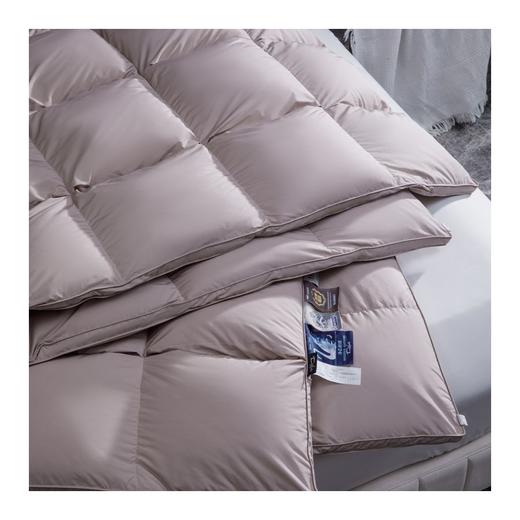 多喜爱　冬奢95白鹅绒加厚冬被（艾贝丽Abel-粉/艾贝丽Abel-灰）赠送兔毛绒套件+枕芯 商品图9