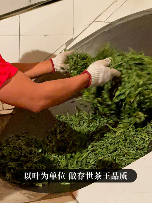 【铜箐河单株】2020年易武铜箐河茶王级单株 全程派人定点守株守茶 保真保纯 250克/砖 拍5发6拍20发25 商品图6