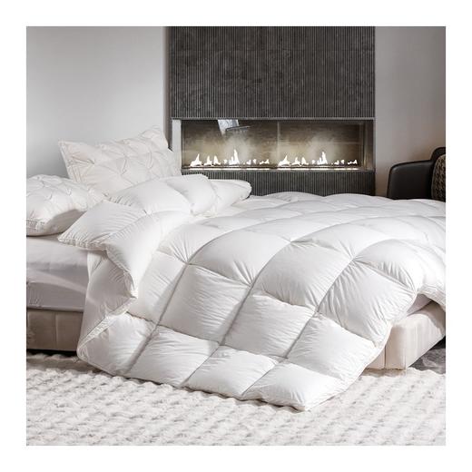 多喜爱　冬奢95白鹅绒加厚冬被（艾贝丽Abel-粉/艾贝丽Abel-灰）赠送兔毛绒套件+枕芯 商品图0