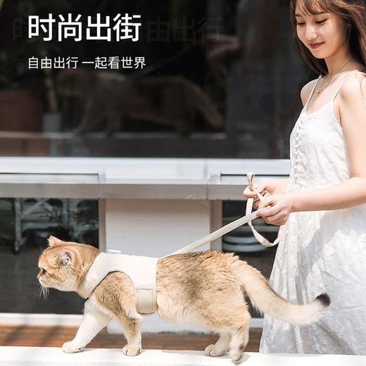 宠物用品-猫咪牵引绳防挣脱猫背带四季通用透气宠物胸背带 商品图2