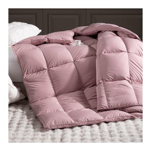 多喜爱　冬奢95白鹅绒加厚冬被（艾贝丽Abel-粉/艾贝丽Abel-灰）赠送兔毛绒套件+枕芯 商品图4