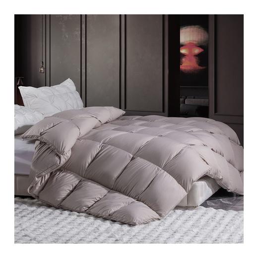 多喜爱　冬奢95白鹅绒加厚冬被（艾贝丽Abel-粉/艾贝丽Abel-灰）赠送兔毛绒套件+枕芯 商品图6