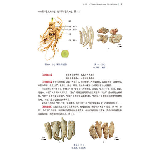 全2册 中药材品鉴精要上下册 2本套装 编甘肃省药品检验研究院 中国食品药品检定研究院组织编写9787521445770-2中国医药科技出版社 商品图4