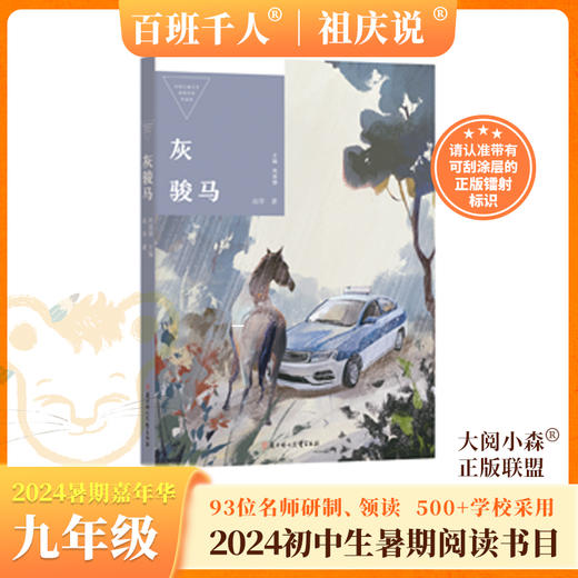 灰骏马 风暴之心 奇妙的大脑 审美力 长江小史 传奇如谜  2024年百班千人暑期书目9年级套装6本祖庆说名师推荐正版现货 商品图1