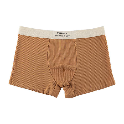 男士50支纯棉内裤男全棉5A抗菌中腰大码平角裤短裤男生裤衩批发 商品图4