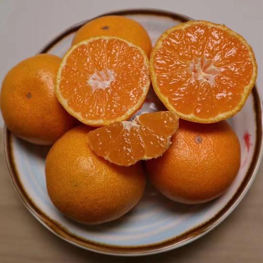 [最农公社]镇店之宝|特级品控浙江涌泉蜜橘5斤18-24枚/10斤36-48枚全部稀有高山6.0-7.5cm果径（顺丰发货） 商品图4