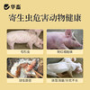 华畜功夫净500g 中药驱虫 球虫绦虫弓形虫等 蛋禽孕畜可用安全有效 商品缩略图1
