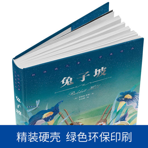 兔子坡 纽伯瑞儿童文学奖作品 6-12岁儿童读物小说 小学生课外阅读 商品图2
