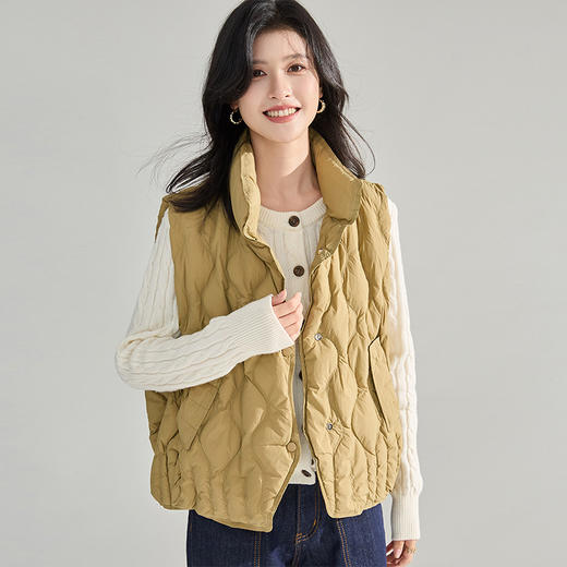 【高货sh】全新升级【铂金会员284/天猫379/差价95】(04217) 洛诗琳2024秋冬新款立领加厚宽松气质保暖羽绒服马甲背心 商品图1