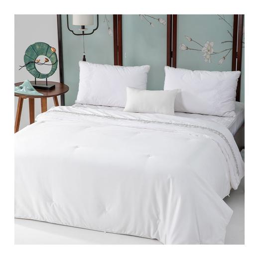 多喜爱-臻藏匠造桑蚕丝冬被（宫阙琼楼） 商品图0