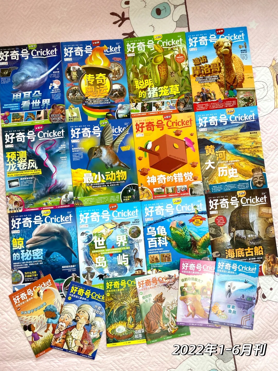 【（独家）好奇号过刊】好奇号杂志2022全年 中文版6-12岁小学生少儿自然阅读科普百科  【悦刊图书】