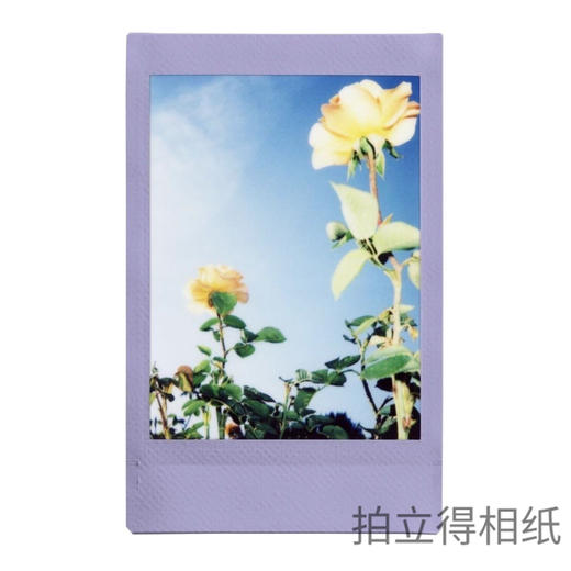mini薰衣草紫边3寸相纸1盒10张，多盒便宜，日期新鲜，现货速发，富士所有mini系列相机通用 商品图4