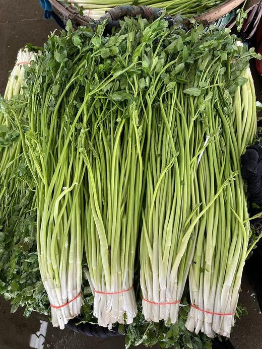 周二取货：【宜兴万石水芹】一捆1斤左右，有根带叶，茎白、叶清香，水分多，既可荤炒，又可素拌！ 商品图3