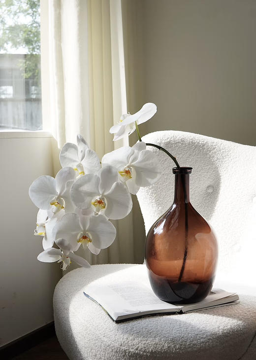 【幸福的来临】进口高质感--白蝴蝶兰  约6-7朵 商品图3