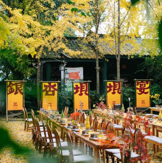 2025 阿柑银杏坝坝宴 | 银杏树下一场秋宴、一碗秋茶，走进一个乡村 商品图1