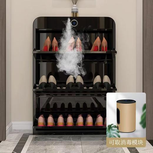 网红多层鞋柜门口鞋架现代轻奢入户超薄家用小户型翻斗收纳玄关柜 商品图2