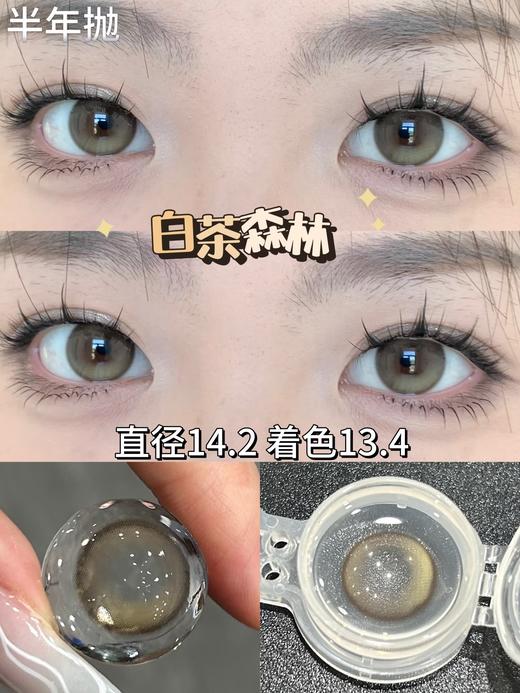 CN花花兔半年抛--白茶森林 商品图2