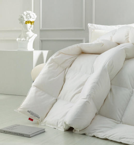 auffmann卡夫曼正品鹅绒被 商品图2